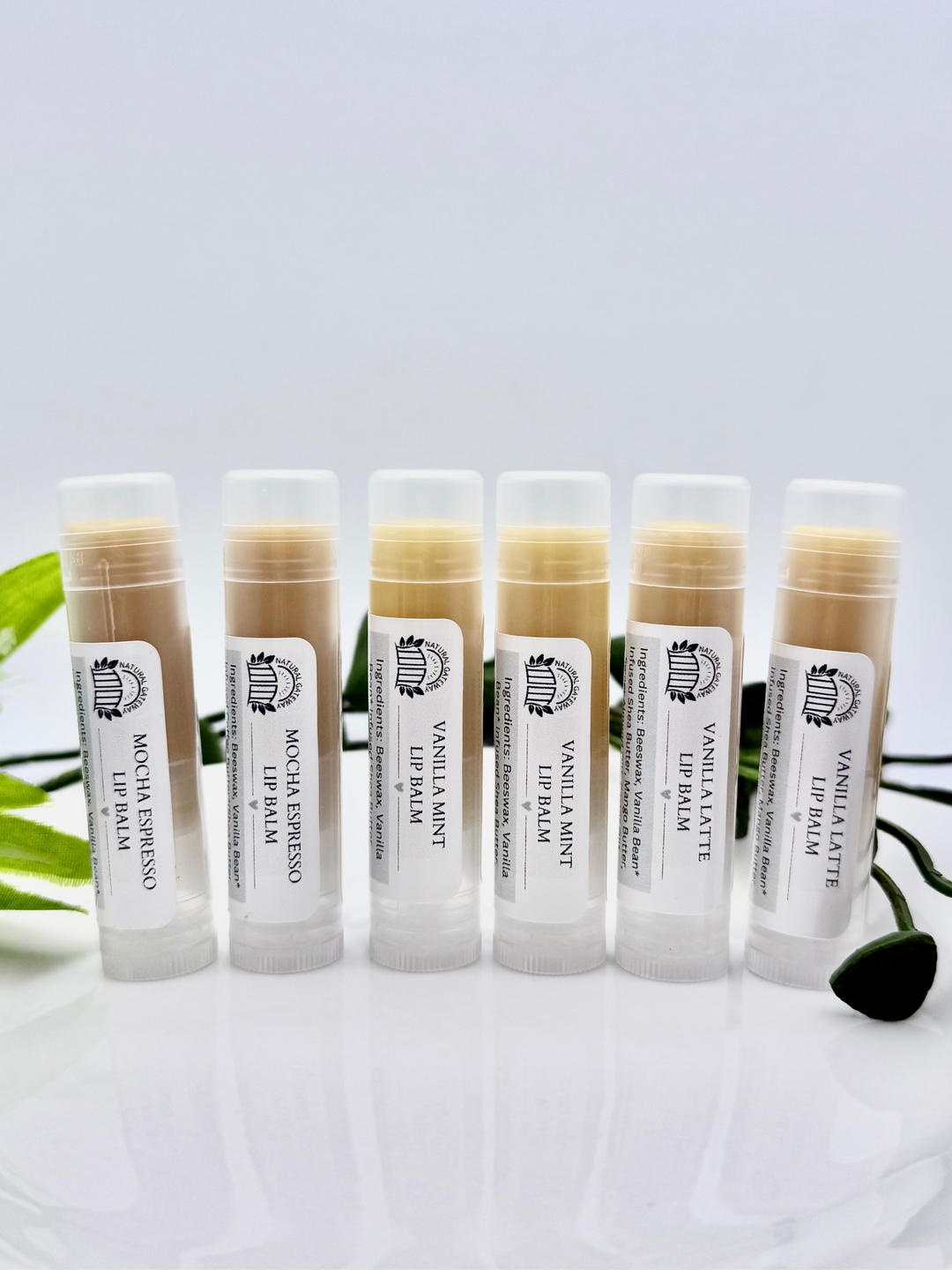 Lip Balm Variety Pack