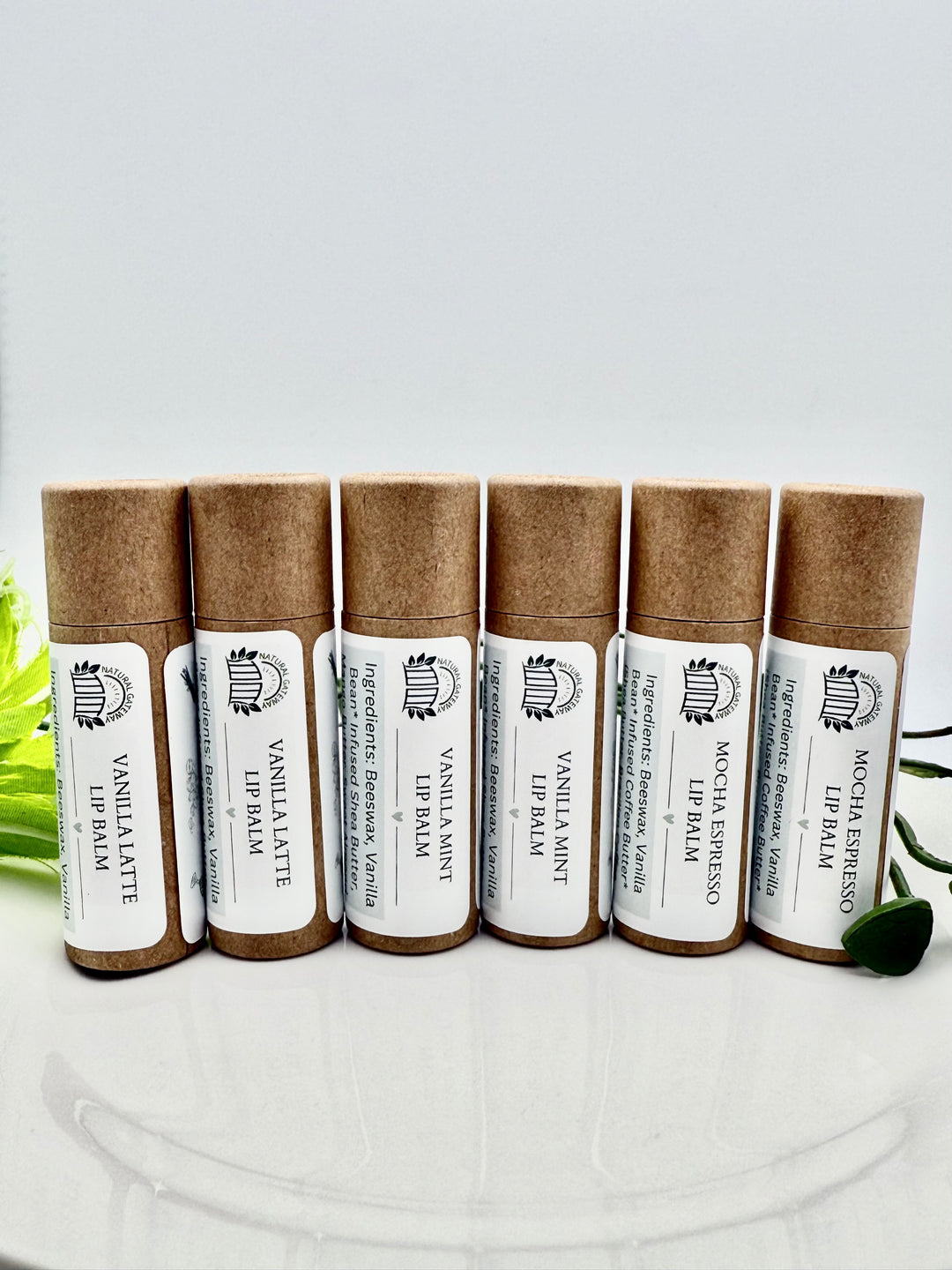 Lip Balm Variety Pack Eco Tube